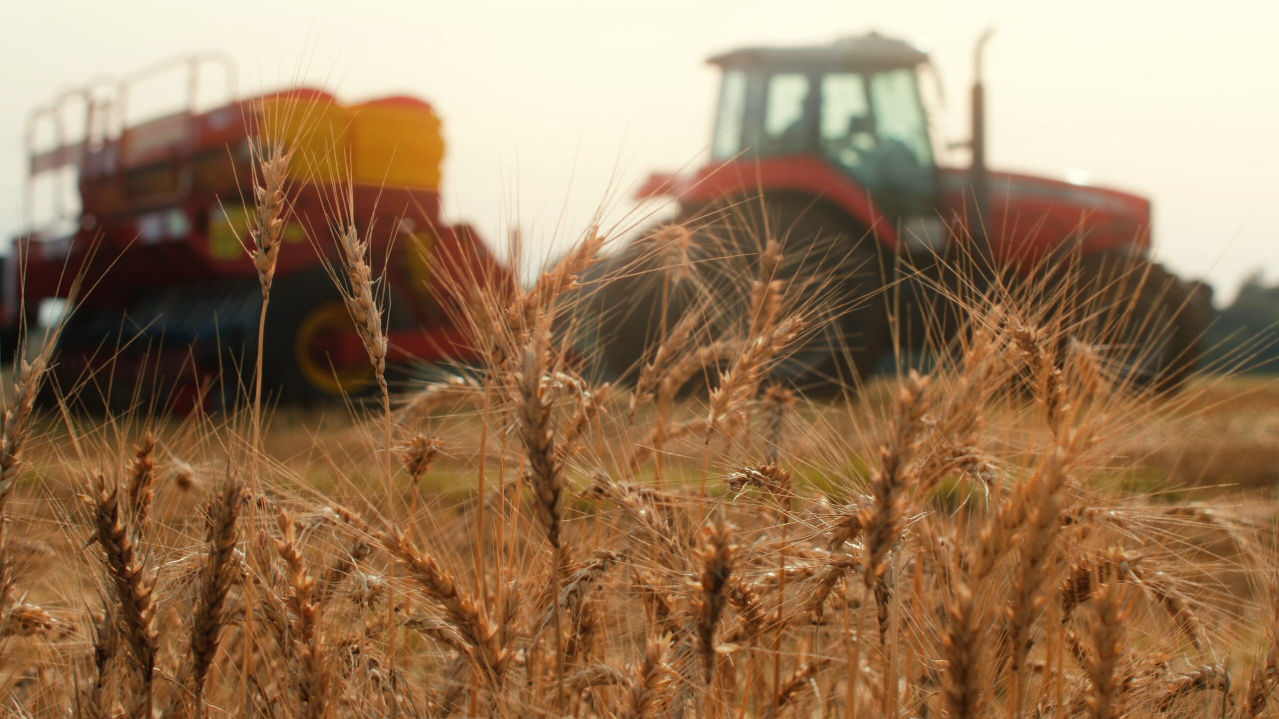 Gerenciamento de crises no Agronegócio desafios e oportunidades